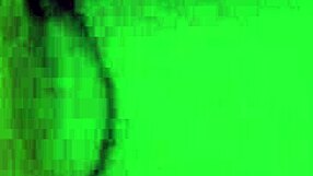 sally marz, do ya love sucking dick as much as this?