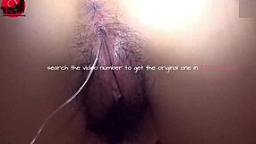 Nasty Slutty Babies 0164 Uncensored in Wild Hentai Action