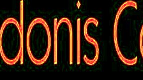 I watch Shay and Adonis in their transsexual performance together