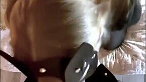 blonde sucks big dick