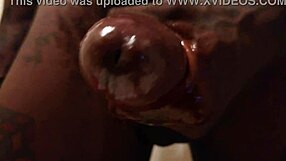 Tall Hallelujah Johnson Tries New Sex Toy