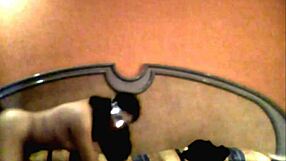 staying at the hotel with lulu for a night