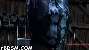 t beautys fuck holes with blowjob nasty fucking tight pussy