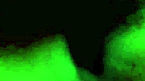 Big booty roommate spreads wet pussy wide in dorm for sensual black sex