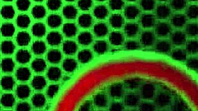 Rome Major domina Cali Caliente com foda na cara e surra na buceta