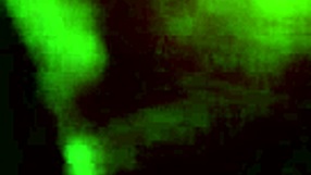 Neighbor banging in the bathroom, wanna watch now?