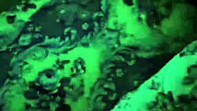 just chatting about gay stuff