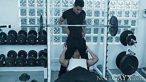 Two hot gay dudes Mateo Fernandez and Zario Travez bang hard in gym