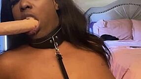 Lexo Butterfly sucks that cock off the wall, spitting and submissive