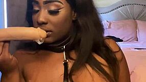 Lexo Butterfly sucks that cock off the wall, spitting and submissive