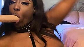 Lexo Butterfly sucks that cock off the wall, spitting and submissive