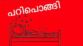 pari pongi malayalam funny parody kambi