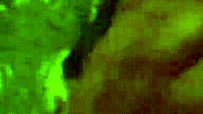 Intense Doggy Fucking Leaves Me Satisfied