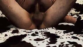 Hot Amateur Couple's Anal Assfucking