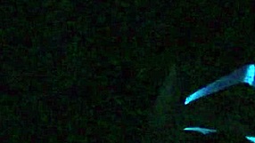 scarlett johnson performing under blacklight