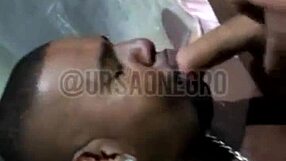 Orgy with 3 novinhos and big cocks