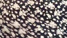 Teen Webcam Dancing Reggaeton Mix