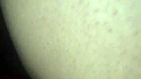 i compiled mexican videos