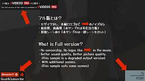 uncensored anime fate fgo sakura matou hardcore action