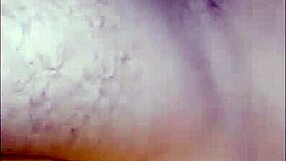 hey, are you crazy for those sampa guys like me in cwb janeiro 2017?