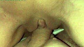 Charlie bear rides big cock squirting shaved pussy sucking