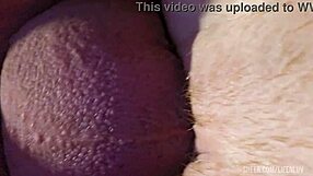 Pale Pussy Fuck And Ass Play With Narrow Ass Bent Over Doggystyle