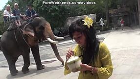 Blowjob As Holiday Punishment With Clothes Ripped