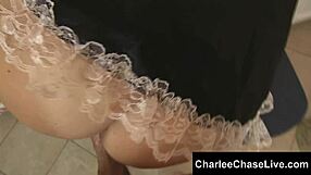 Submissive maid Charlee Chase pleasures big cock in Tampa