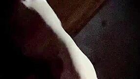 Staci plays with bunny outfit in public fun