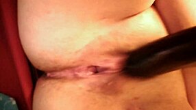 First play session with toys