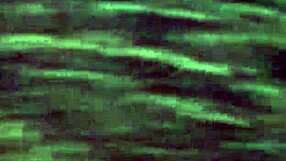 she gives good head and deepthroat, part 2, wow