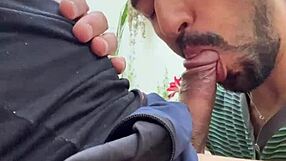 Жара в мексиканском саду с любительским накалом