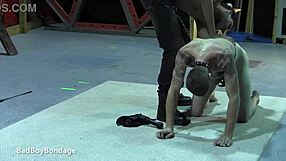 Mikeal boldly explores his skinny african sub chad in intense bondage domination
