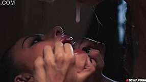 Saddle up for the brand new gold diggers series on digital playground!