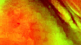 I was playing with my vibrator, teasing myself until I reached an intense orgasm