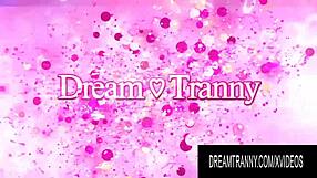 Dream Tranny showcases sexy transsexuals riding hard cocks in compilation
