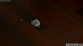 Cute Light-Skinned Straight Boy with Big Dick Explores Gay Encounters.