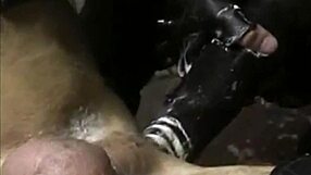 Sleazy Darkroom Punks Engage in Wild Group Gay Encounters. What Secrets Hide in the Shadows?