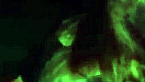 Esposa Leva Gozadas De Estranhos No Dogging Em Público