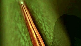 damian & coco explore rough anal in cartoon hardcore scene