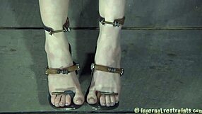 Playgirl Tied with Vibrators and Sucks Cock.