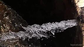 Melisa Reaches Orgasmic Heights With Shaved Brunette Solo In Mexico