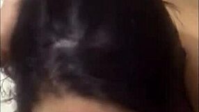 Traps Being Silly And Sissy While Acting As Super Prostitutes In Compilation