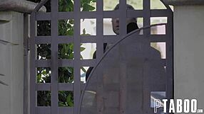 Lapdog Chad Alva Charlotte Sins