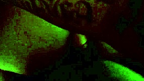 She Sucks My Dick Like A Porn Star Expertly