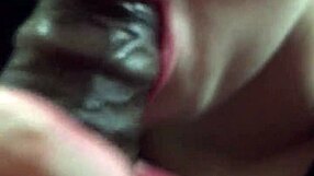 close up lipstick sucking big black cock