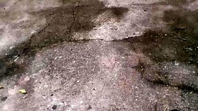 gay brasileiro masturbating in the woods