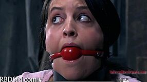 Whip Bound Playgirl's Shaved Pussy Hard!