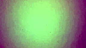 Wow, my Colombian milf delivers huge blowjob!