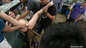 i witness bound babe in public shop